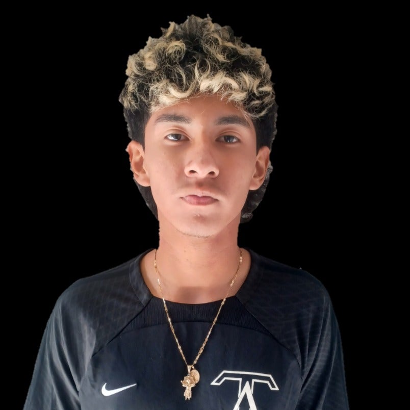 Erick Santiago mugshot
