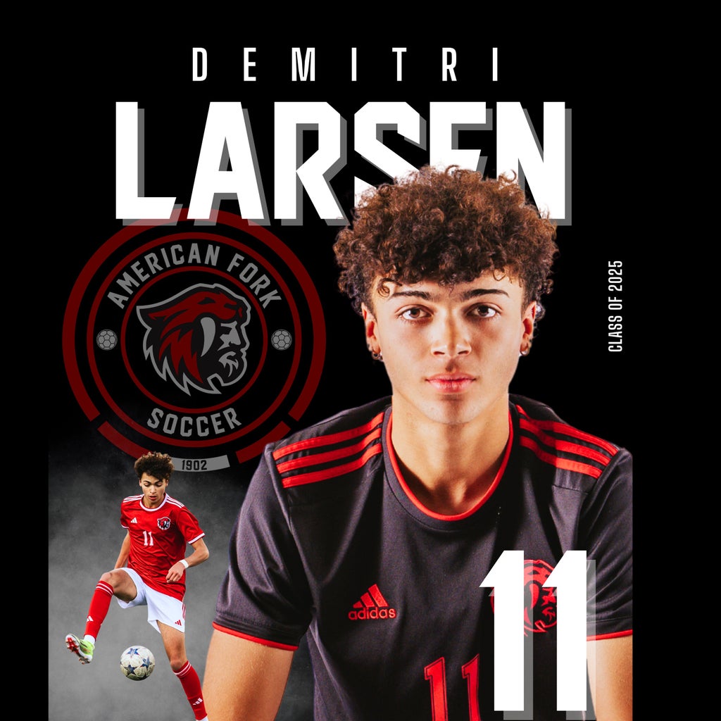 Demetri Larsen mugshot