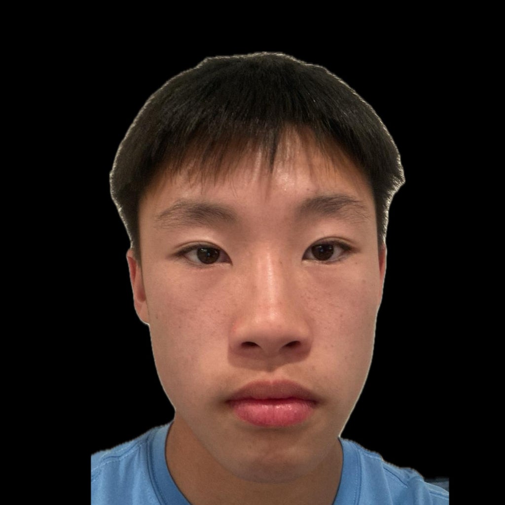 Justin Son mugshot