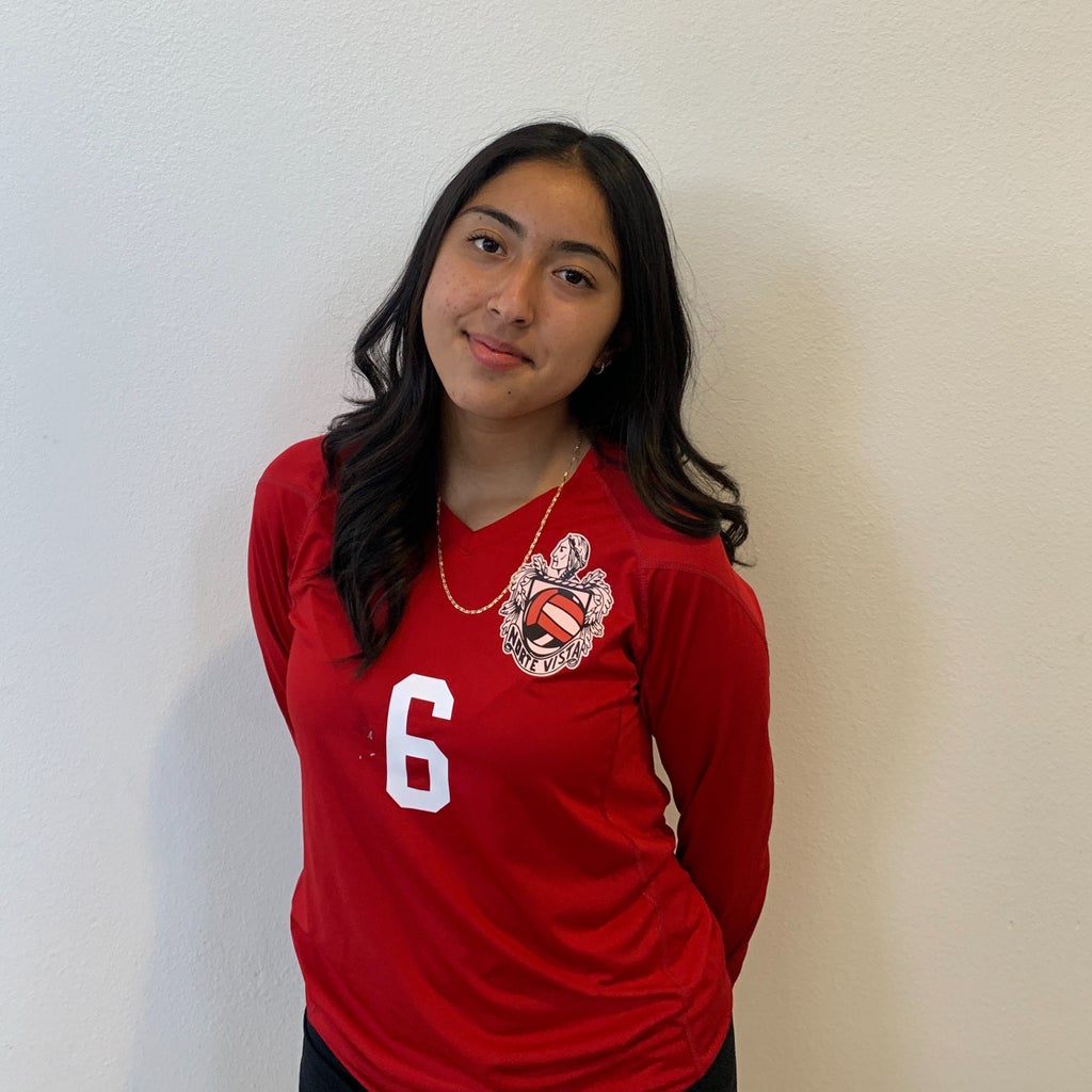 Leslie Morelos mugshot