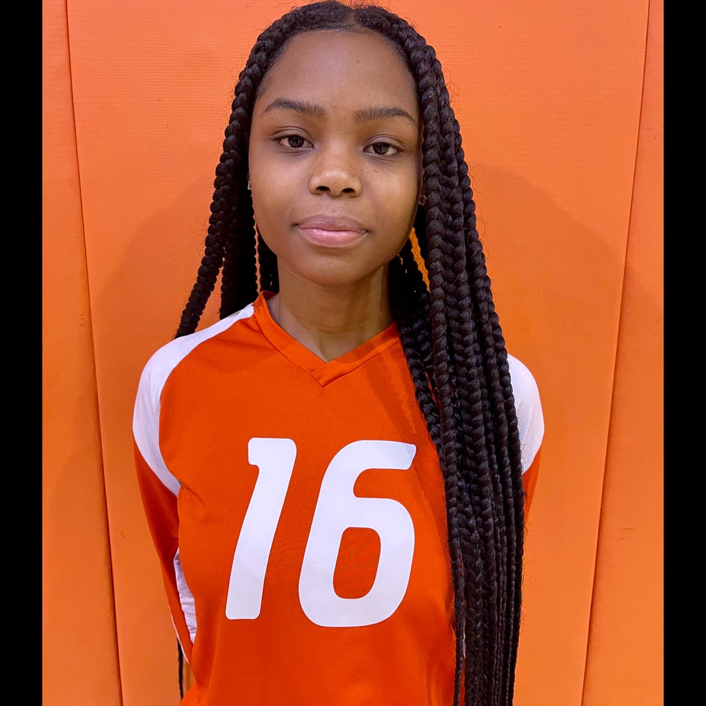 Nyla Brice mugshot