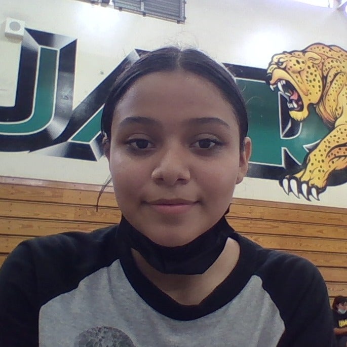 Ashley  Rico mugshot
