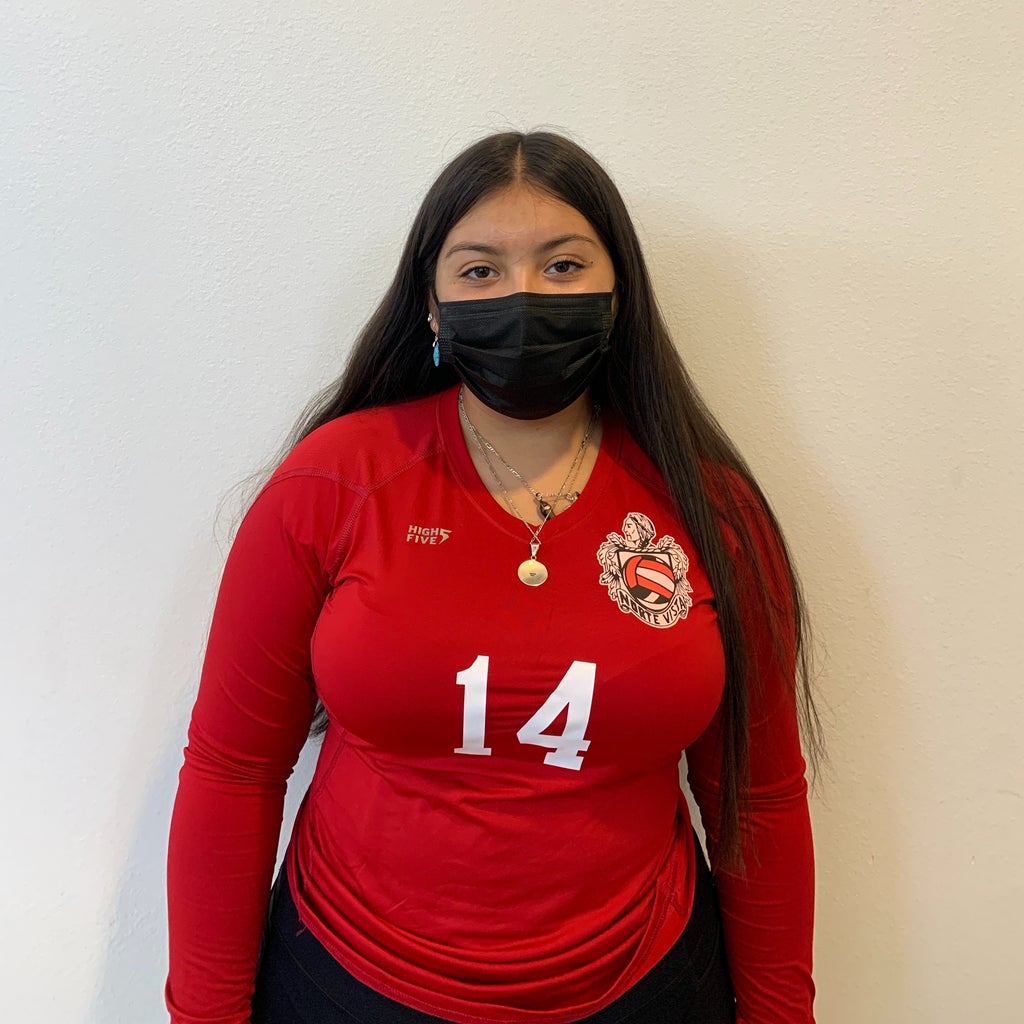 Andrea Hernandez mugshot