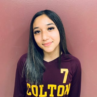 Michelle  Velez mugshot