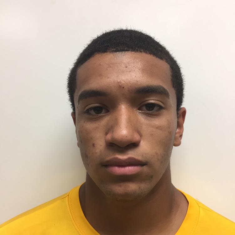 Justin Torres mugshot