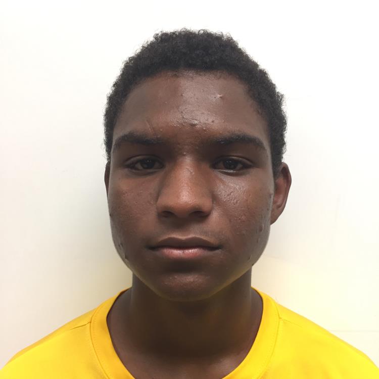Emmanuel Gomes mugshot