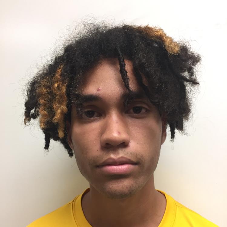 Orley Ospino ricaurte mugshot