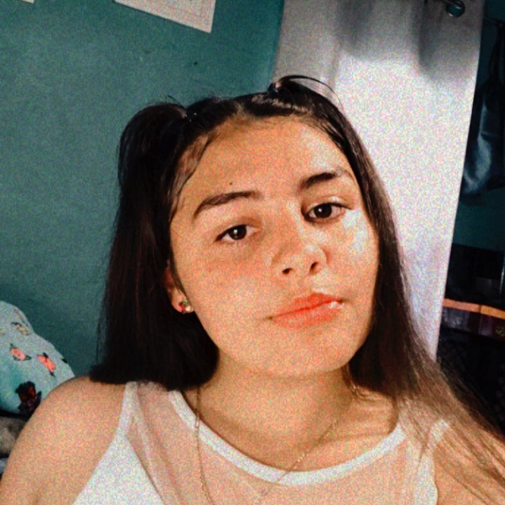 Rosario Chavez Avila mugshot
