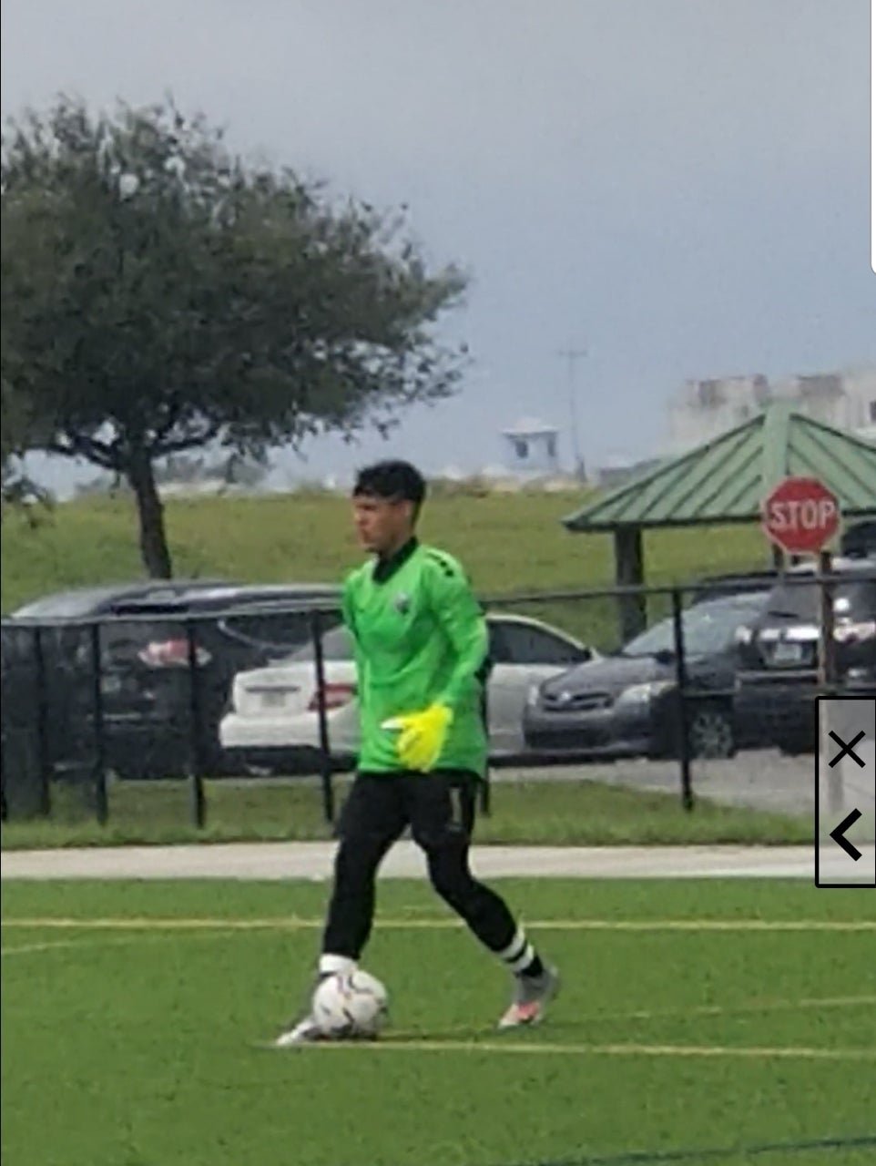 LUIGGI MORALES