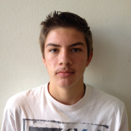 Damon Koshmerl mugshot