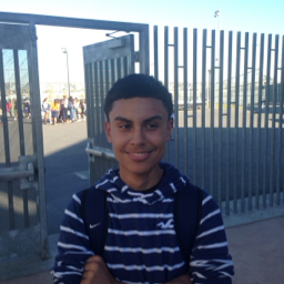 Albert Rocha mugshot