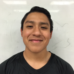 Jose Pinedo mugshot