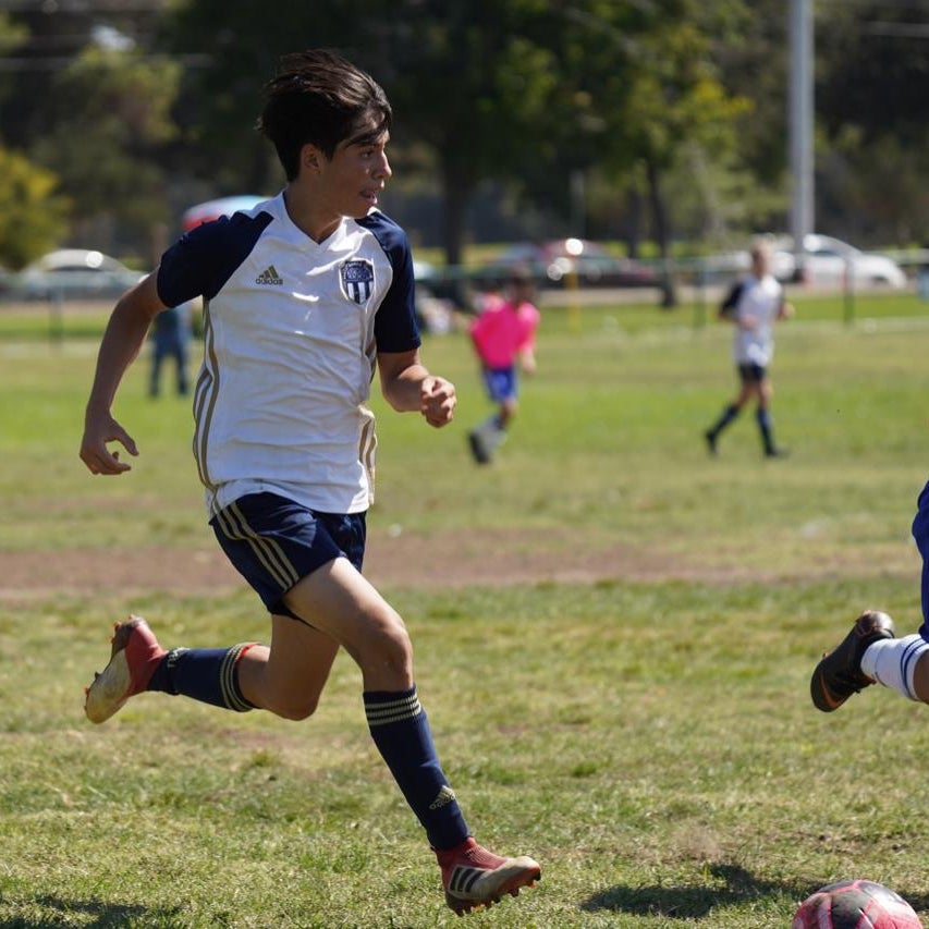 Sebastian Montelegre