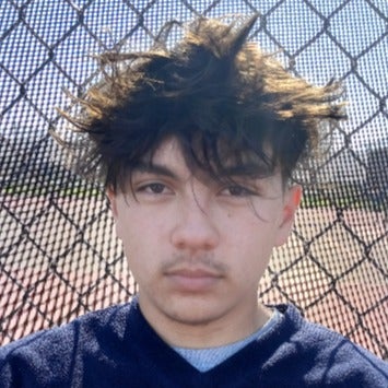 Brian Carlson mugshot