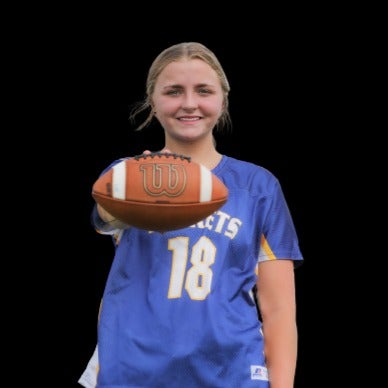 Laina Erickson mugshot