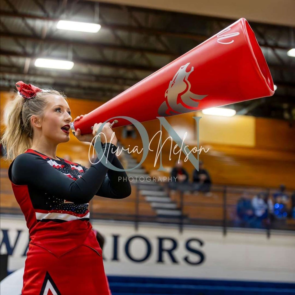 Maci Jackson mugshot