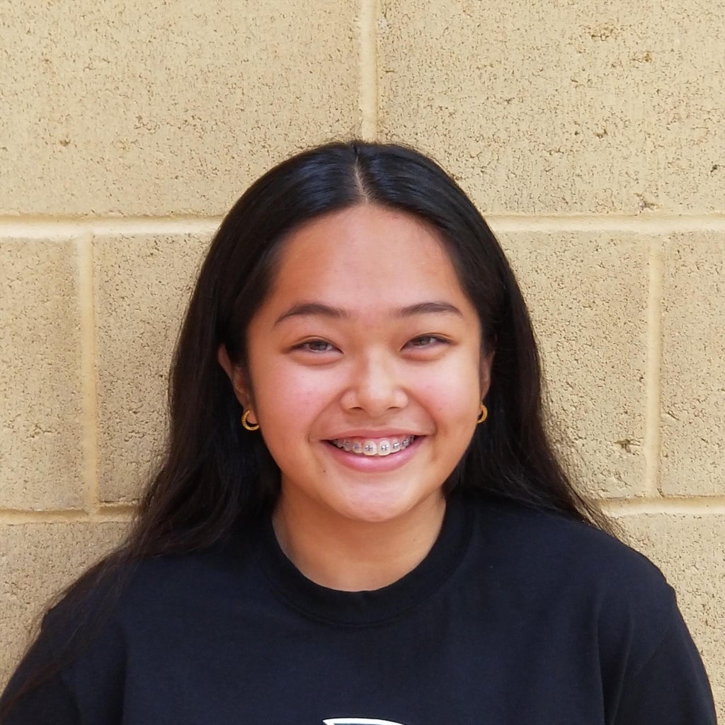 Marynell Torres mugshot