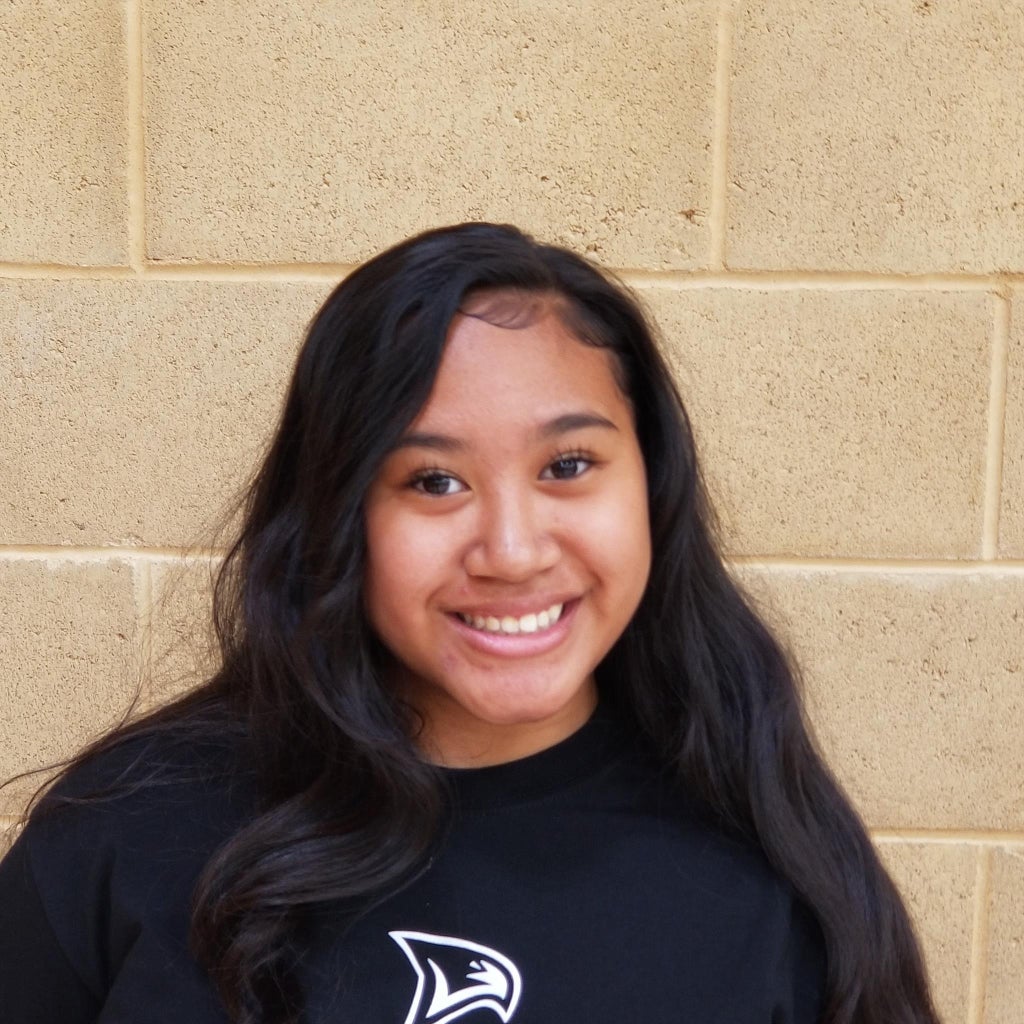 Auleilei Toleafoa mugshot