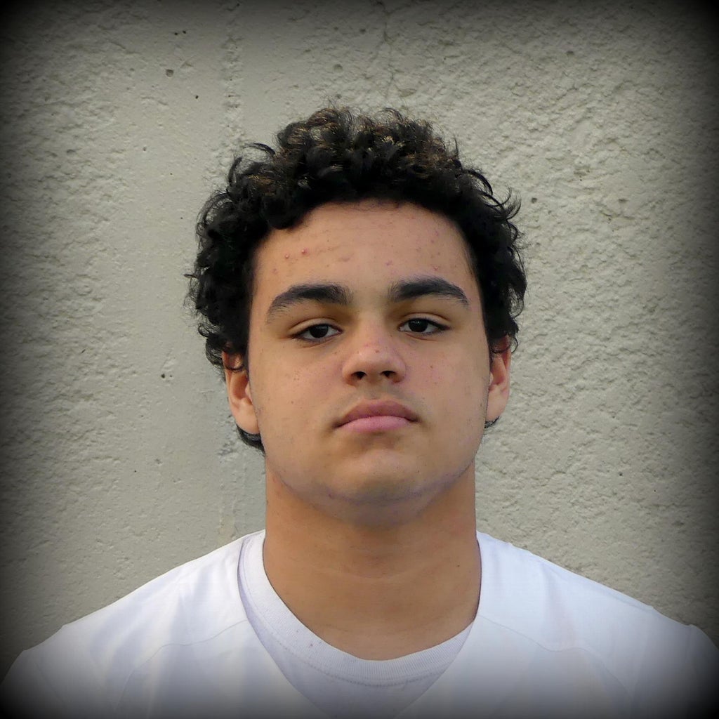 Jaiden Jones mugshot
