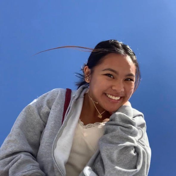 Alyzen Ambito mugshot