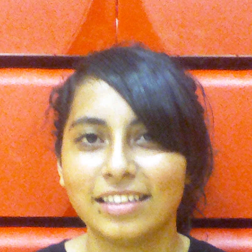 Patricia Ruiz mugshot