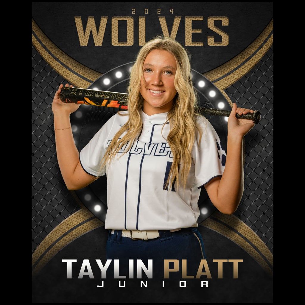 Taylin Platt mugshot