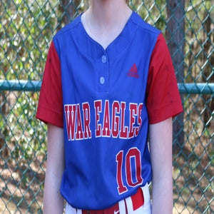 Ashley Nettles mugshot