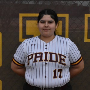 Joanne Castillo mugshot