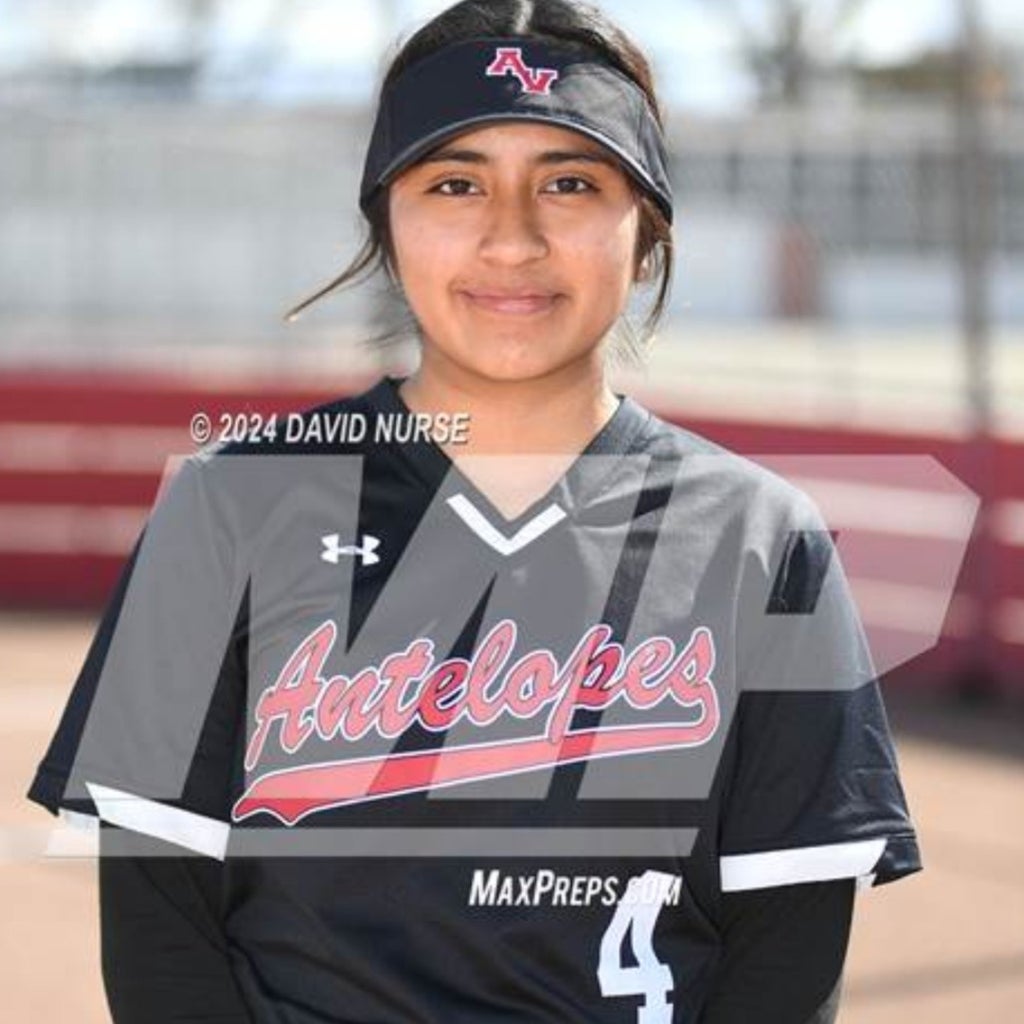 Nohemi Diaz mugshot