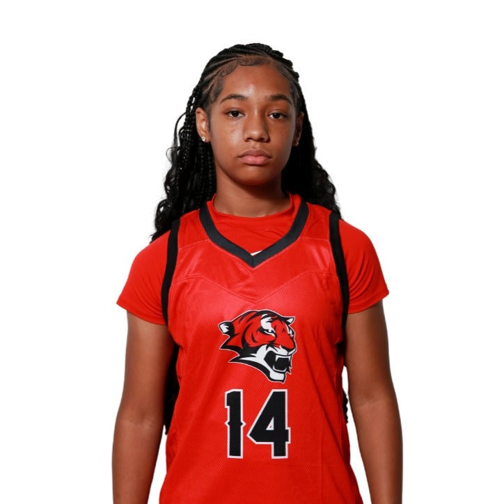 Medina Akbari mugshot