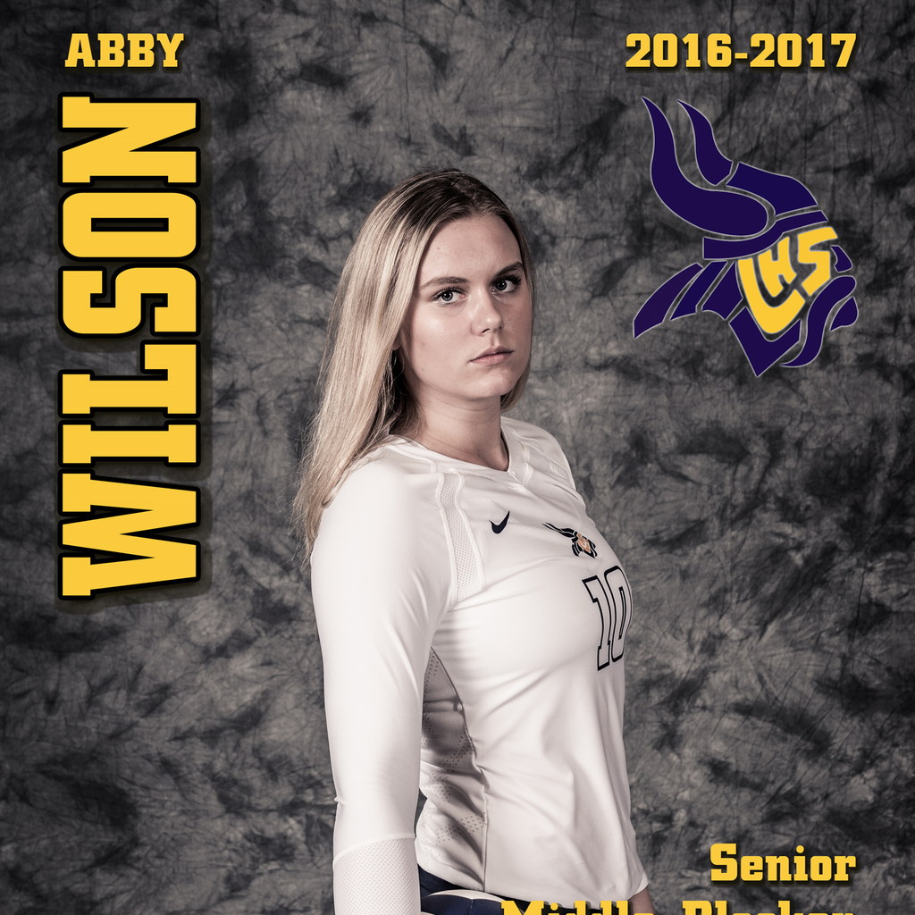 Abby Wilson mugshot