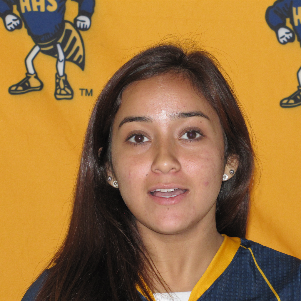 Julissa Carrera mugshot
