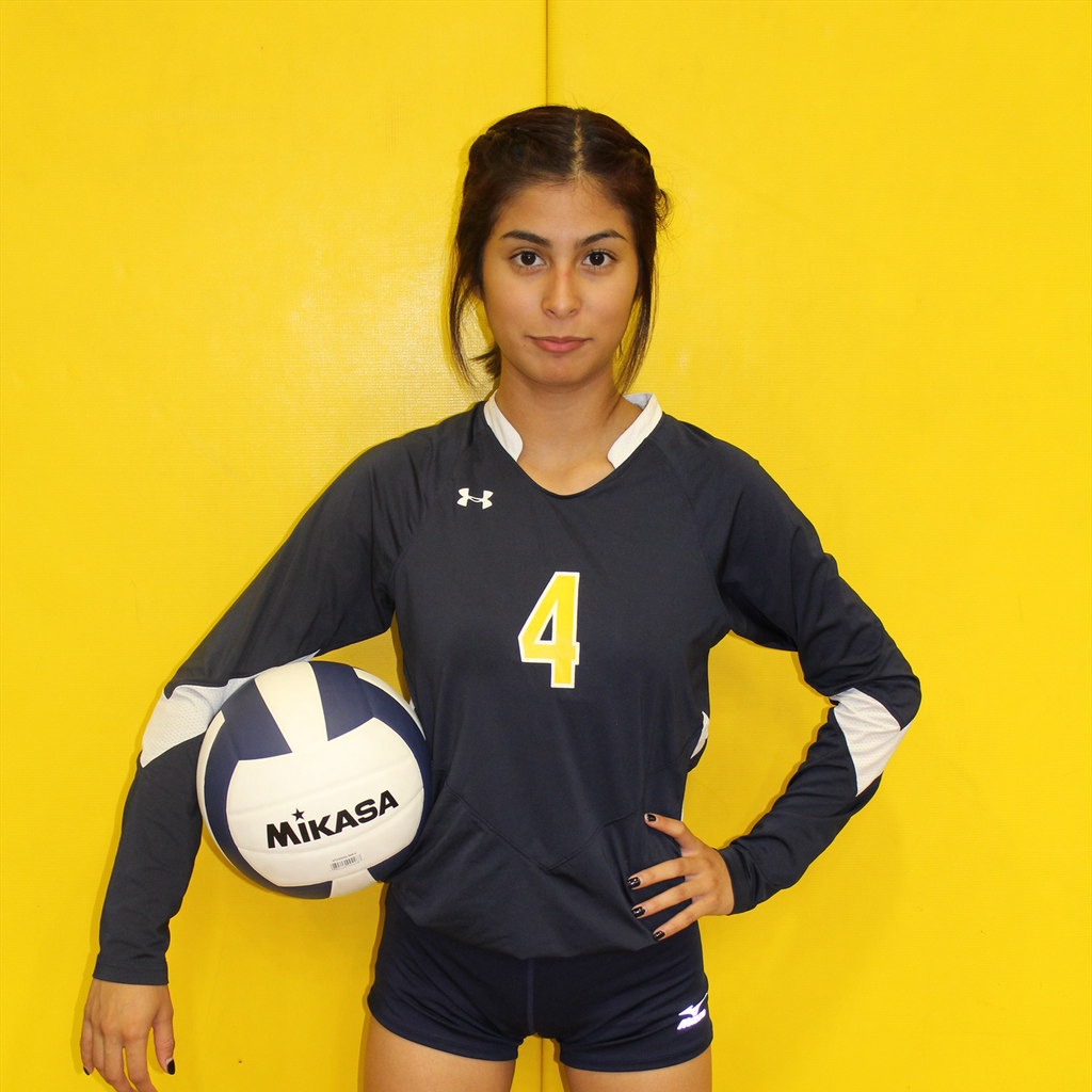 Vivika Guevara mugshot