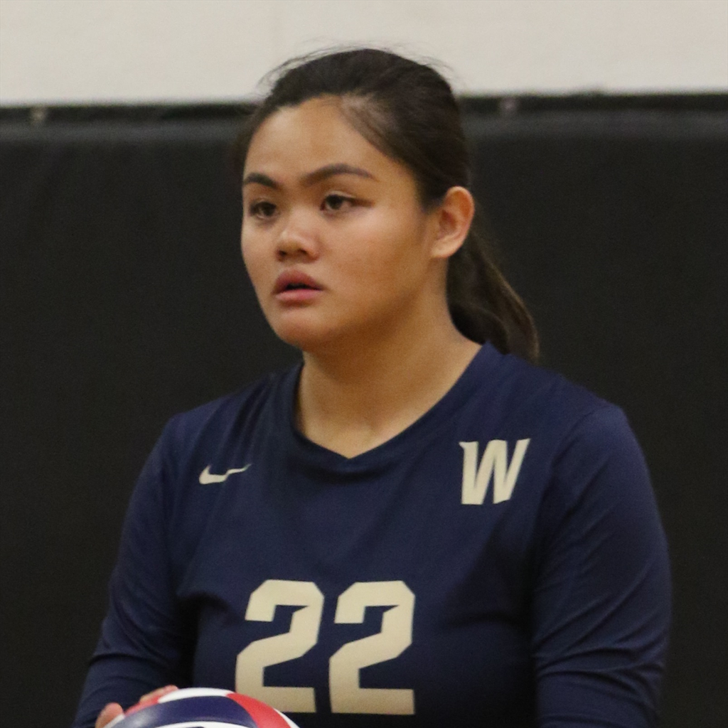 Arielle Villena mugshot