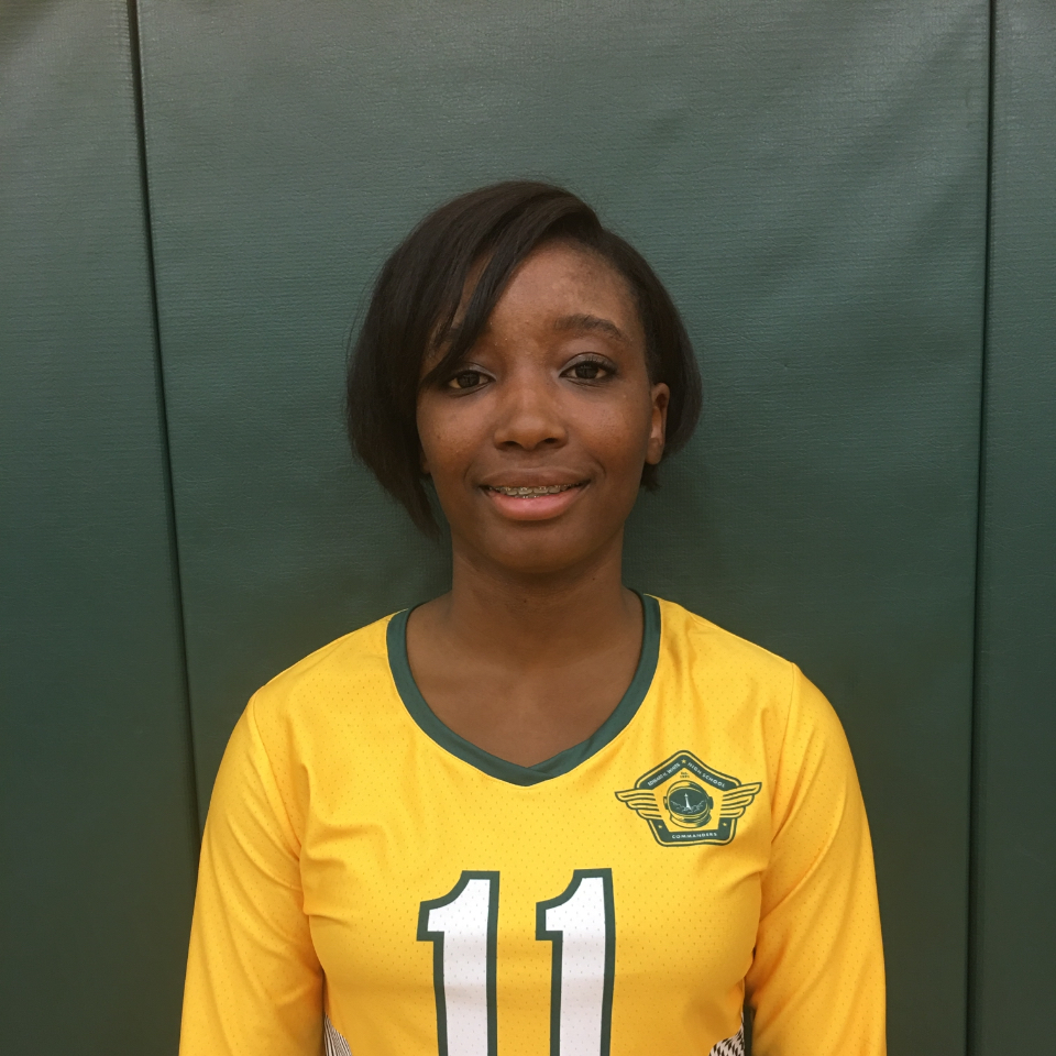 RONANISHA AARON mugshot