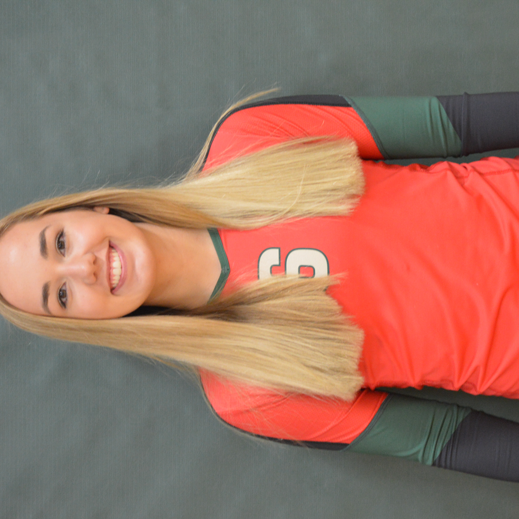 Sydney Docken mugshot