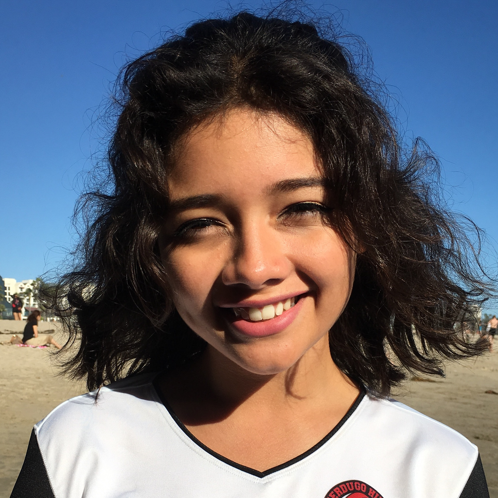 Julia Alvarez mugshot