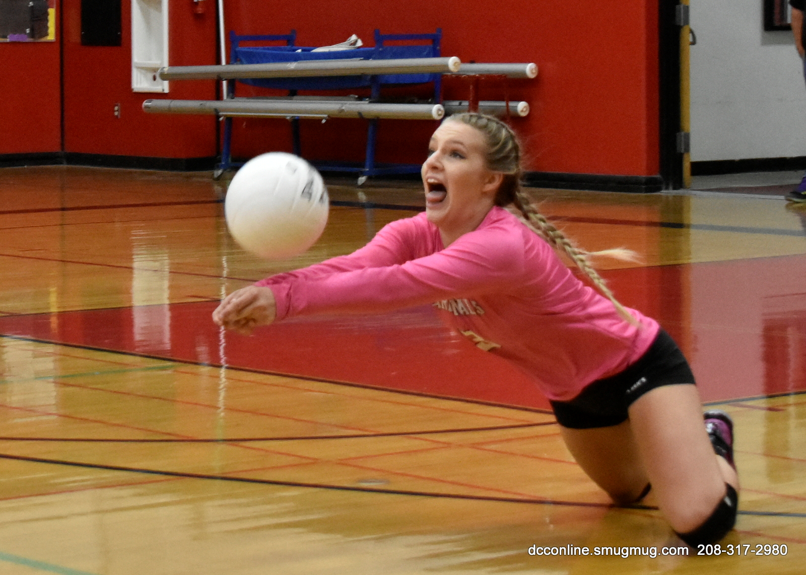 Madi Ferguson mugshot