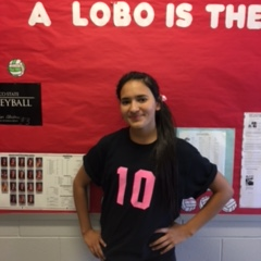 SOFIA HERNANDEZ mugshot