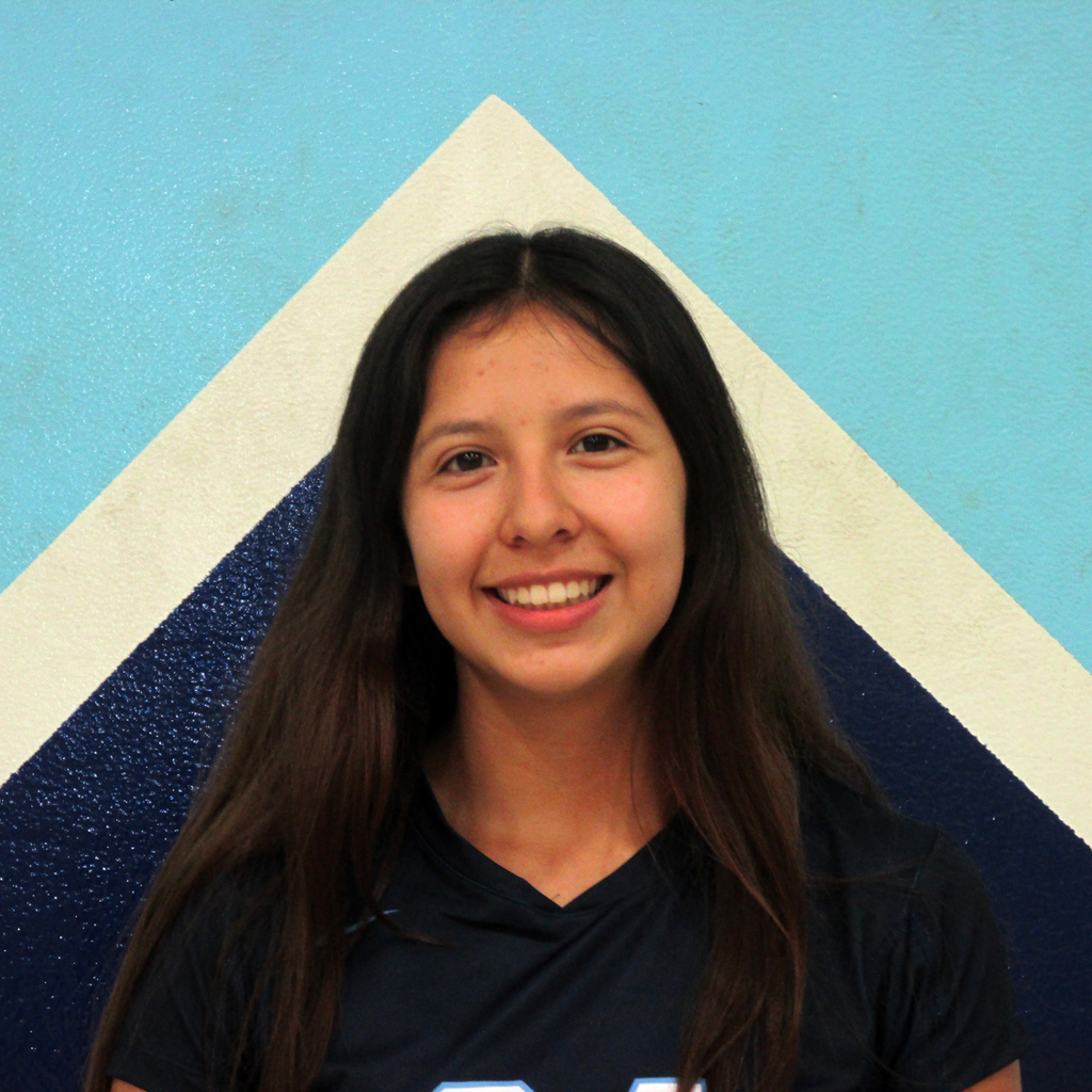Elizabeth Diaz mugshot