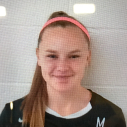 Anna Hendrickson mugshot
