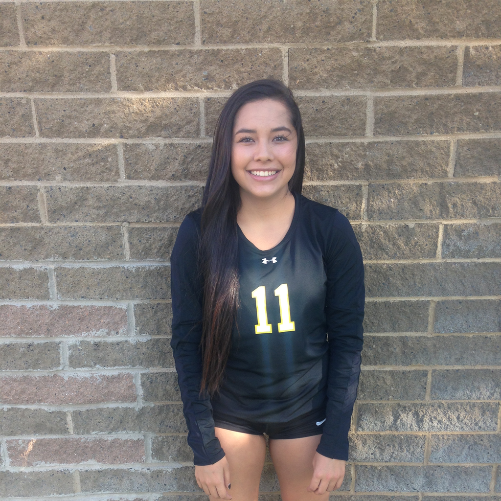 Adrianna Castro mugshot