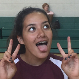 Amanda Bin mugshot