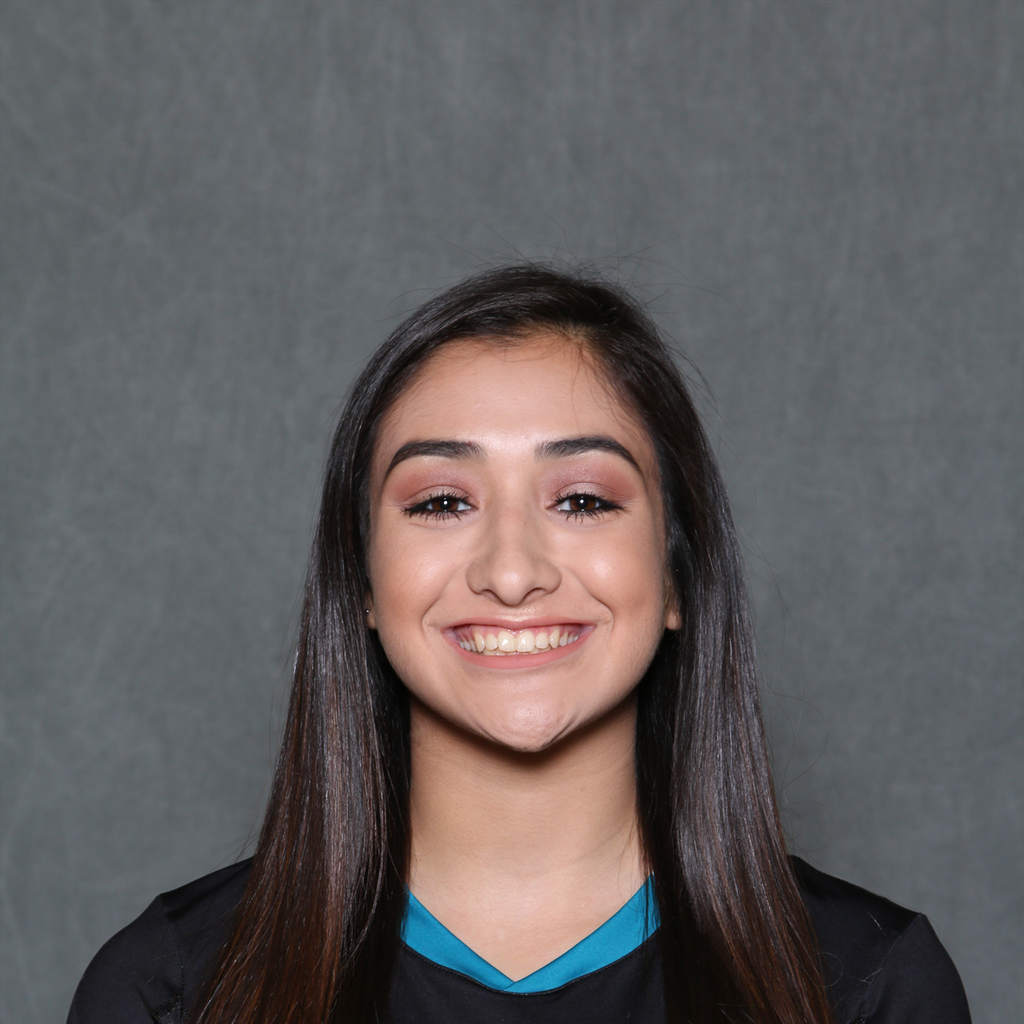 Aneliz Chapa mugshot