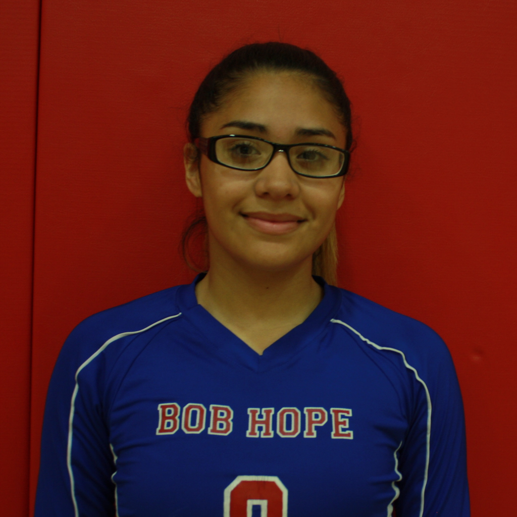 Michelle Guillen-Bautista mugshot