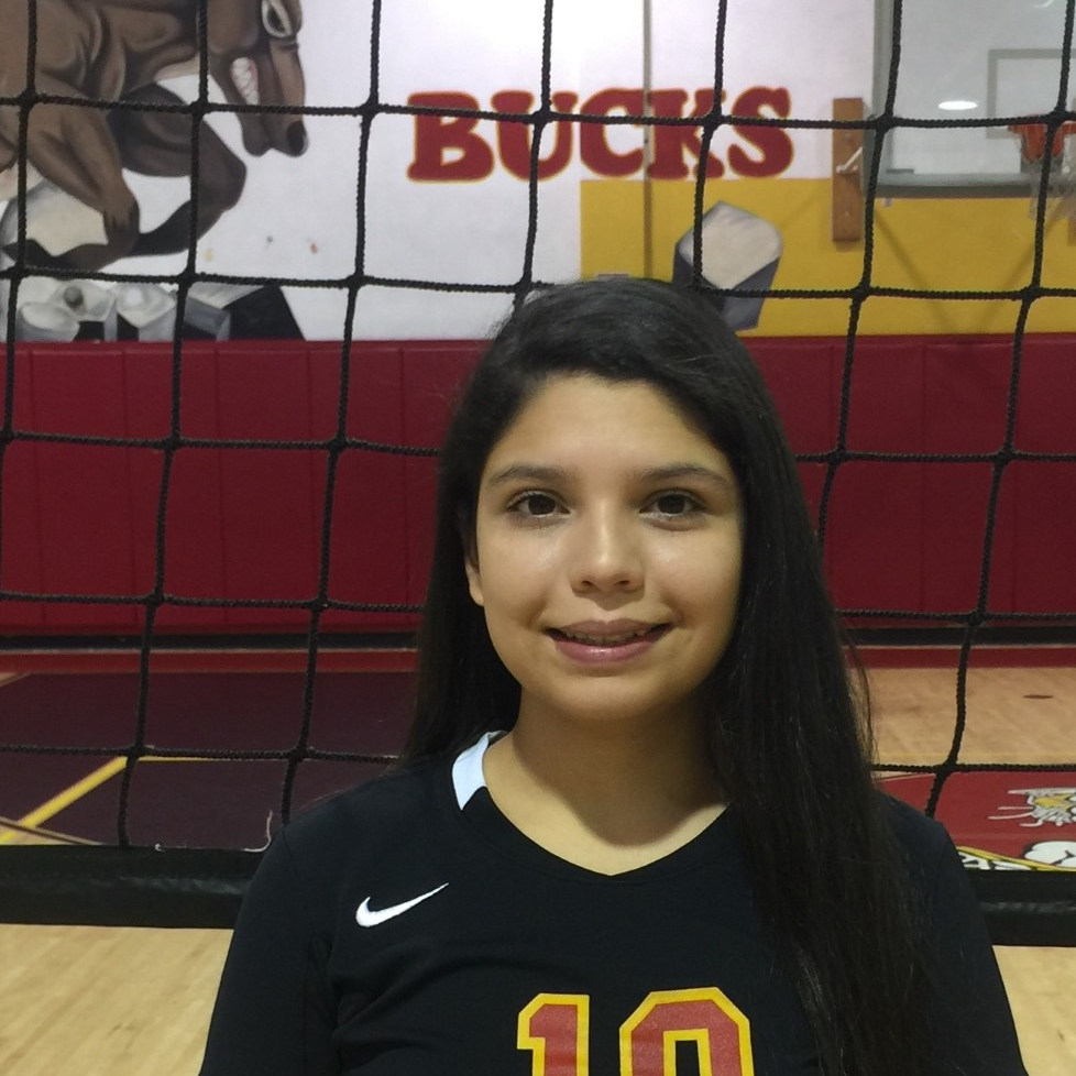 Alejandra Lucio mugshot
