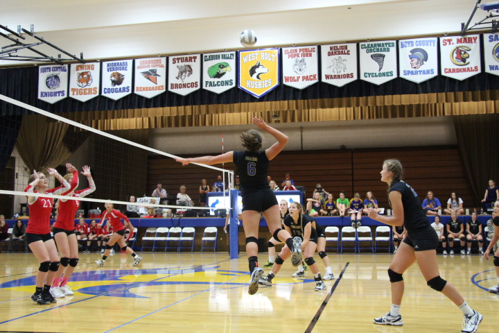Madisyn Steinkraus
