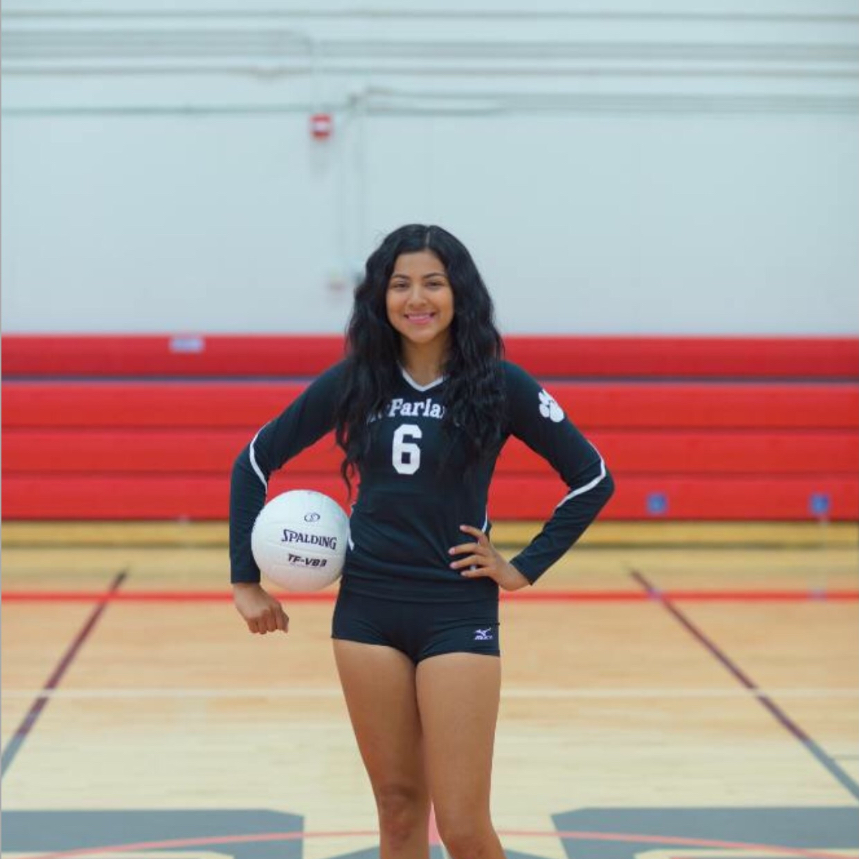 Evelyn Gomez mugshot