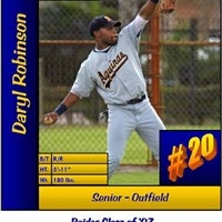 Darryl Robinson