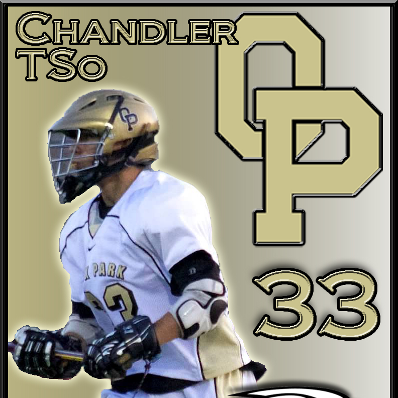 Chandler Tso mugshot